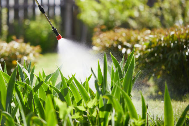 24/7 Emergency Ant Control experts in Crothersville, IN
